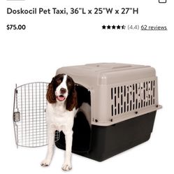 Dog Kennel 