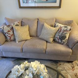 Couch-like New