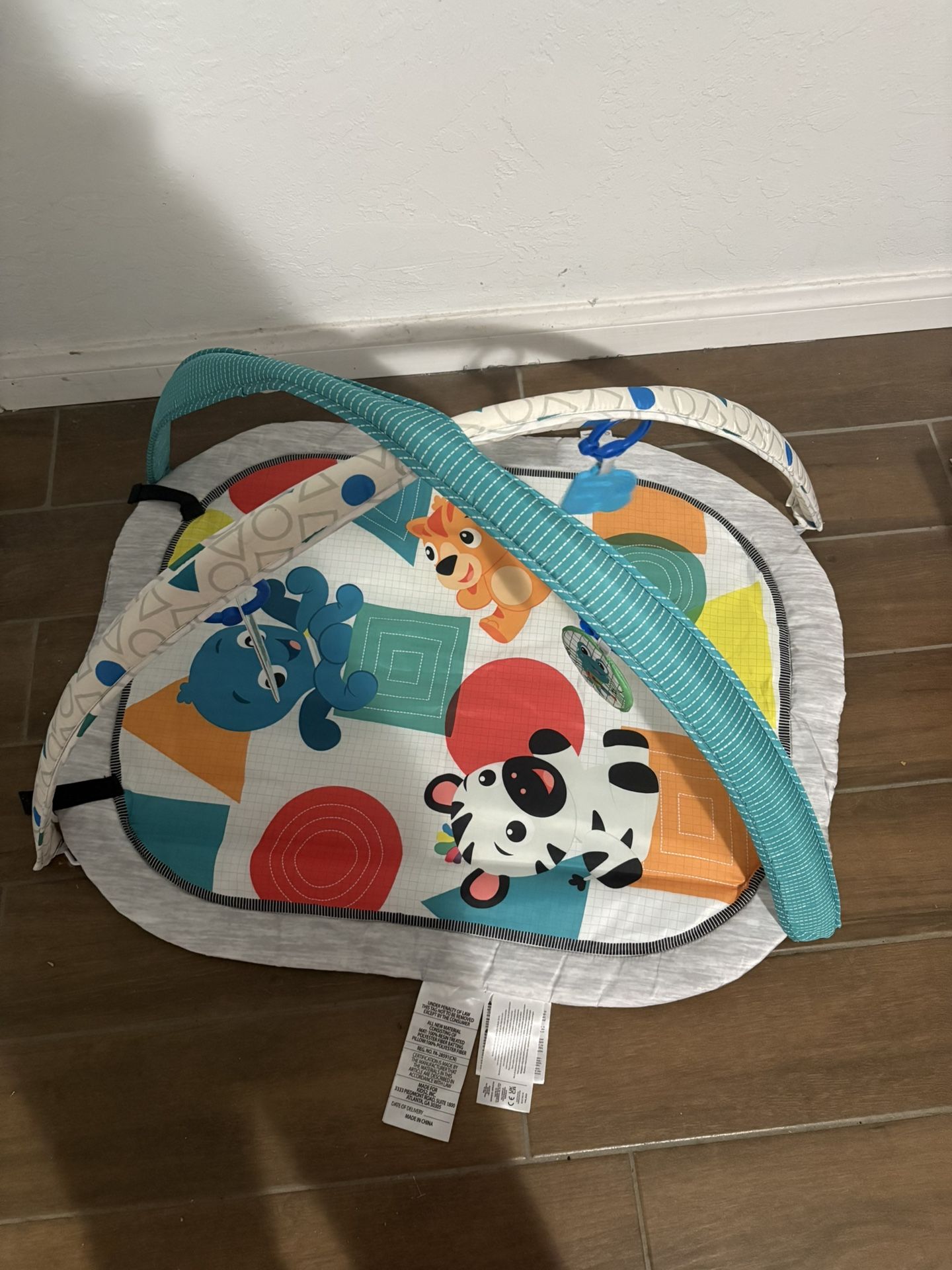Baby Einstein Play Mat