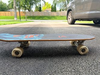 Fathom by Shark Wheel Cruiser Skateboard Bamboo Deck Shark Wheels Complete