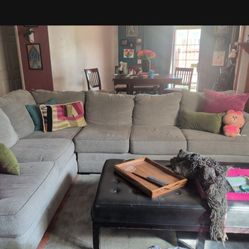 Light Grey Sectional 