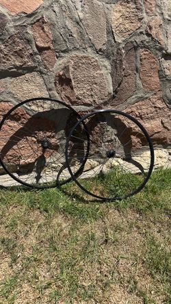 29” free wheel bike rims