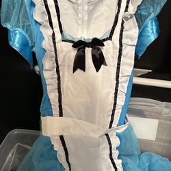 Alice In Wonderland Costume 