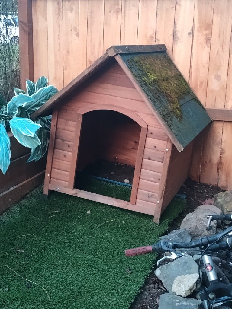 Dog House