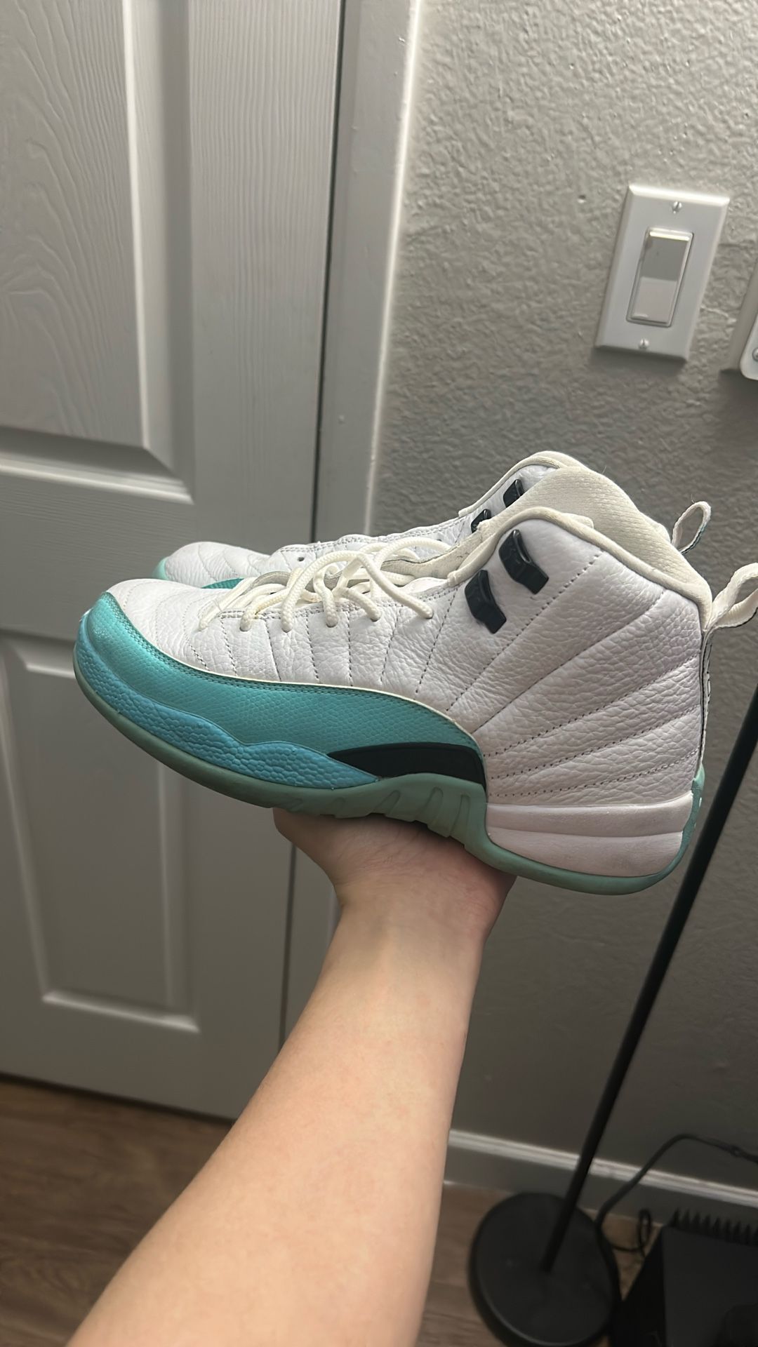 jordan 12