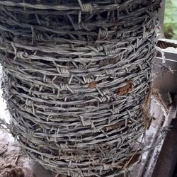 3 Quarter Roll Of Bulb Wire 