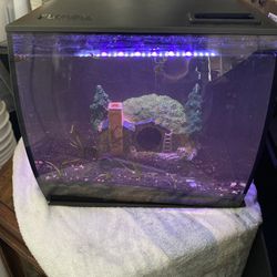 Complete Fish Tank Aquarium