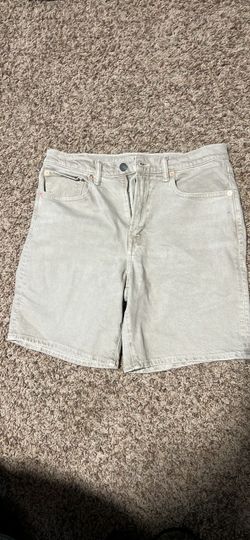 American Eagle Jorts