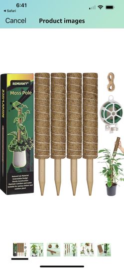 Moss Pole 2 4 Packs