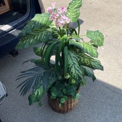 Artificial Plant 🪴 