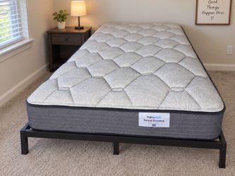Therapedic Sweet Dreams Mattress – Very Good Condition – $100