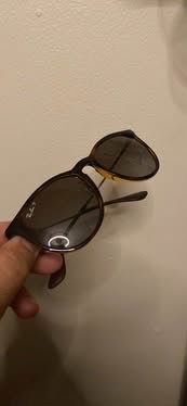 RayBan Erika Sunglasses