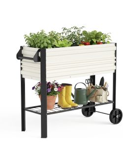Garden Bed