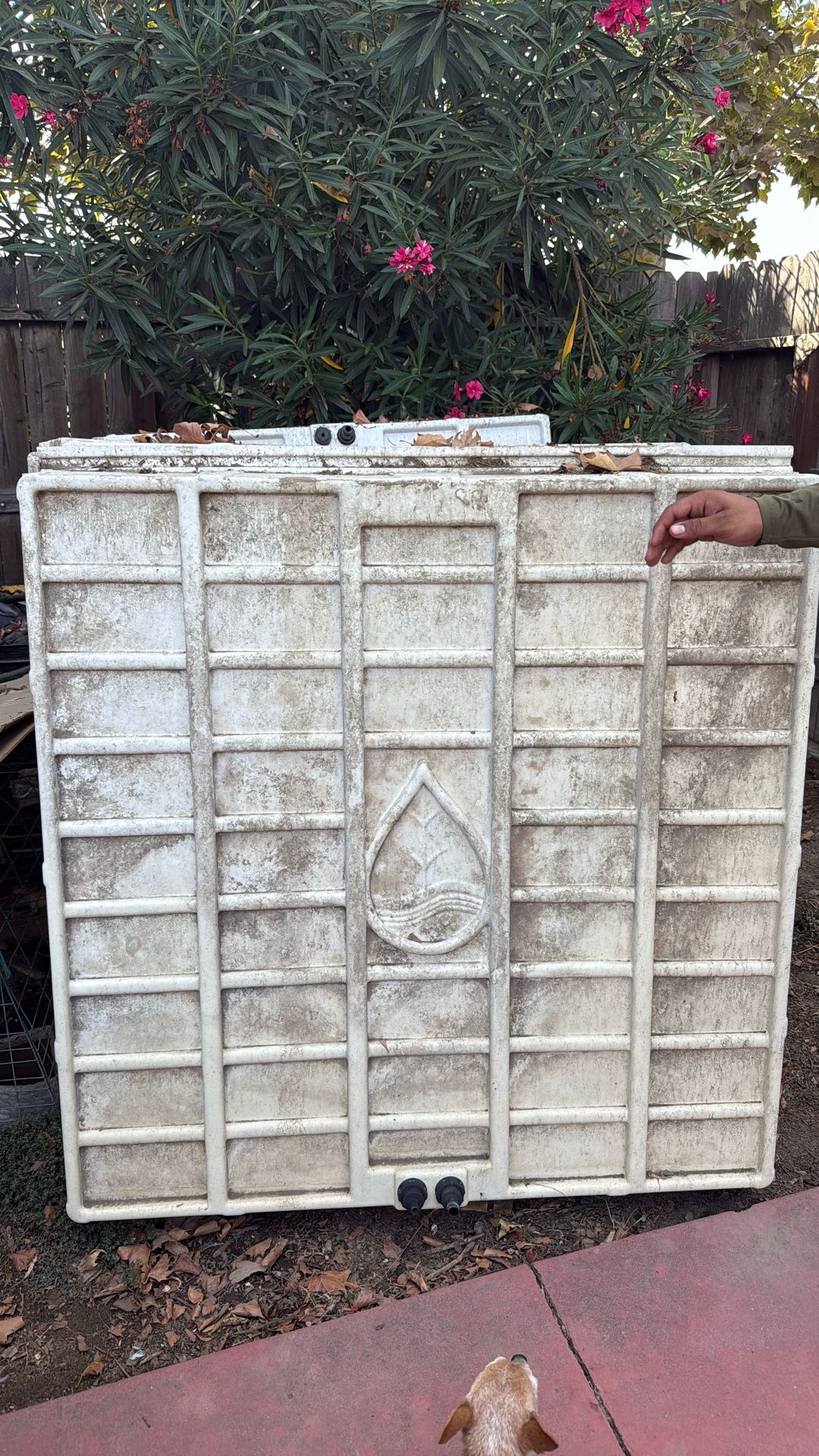 Trays/tubs 4x4 