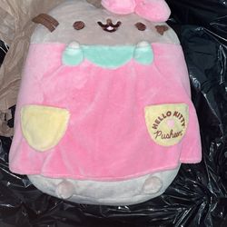 Pusheen Plushie
