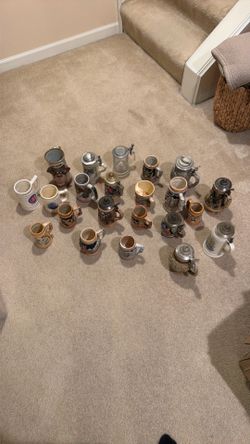 22 Beer Steins
