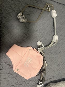 Infant Master Swing