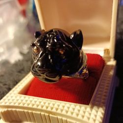 Black As Midnight Dog Ring
