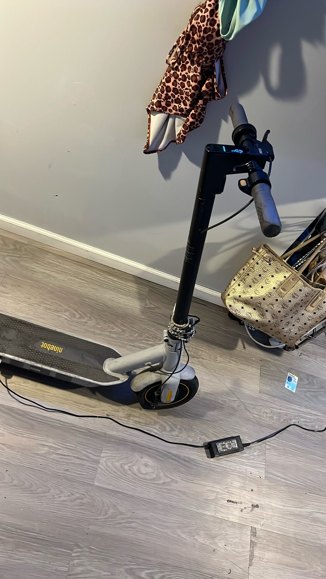 Ninebot Scooter 