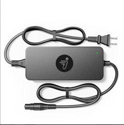 Segway Ninebot 48V Fast Charger