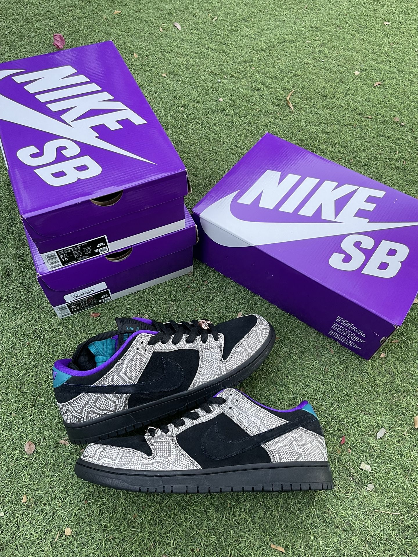 Nike SB Dunk Low “Dashawn Jordan Copperhead” (M)