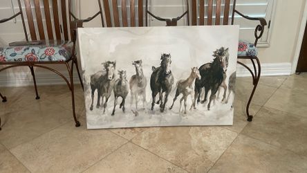 Wild horse portrait