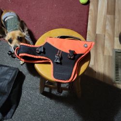 Small dog lifevest