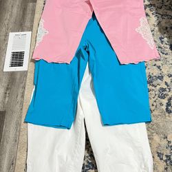 Worthington Women’s Plus  Pants  Size 3X  d&CO.  2X  Pink pants  2X