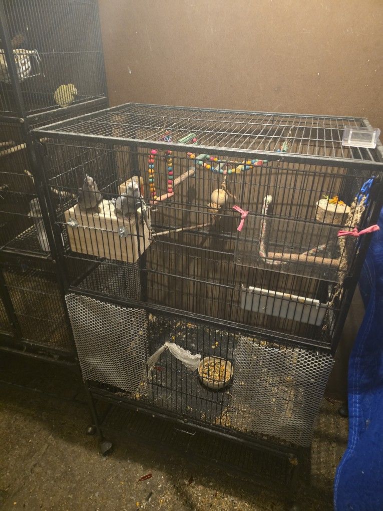 Bird Cage And More