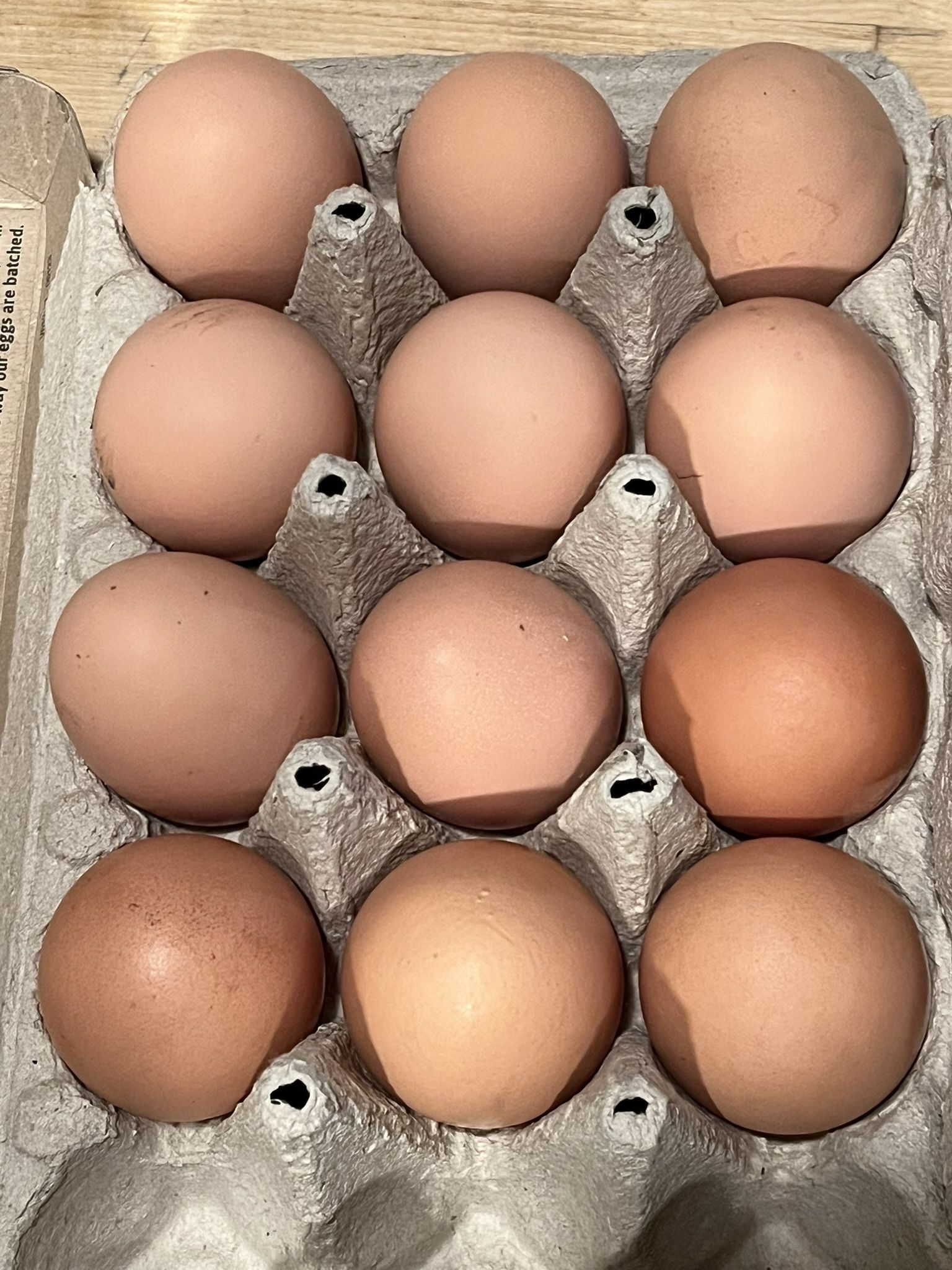 Dozen Free Range Farm Fresh Eggs