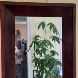 Civil War Era Antique Mirror
