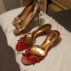  Dolce  Gabana  39.5  Giuseppe Zanotti   39