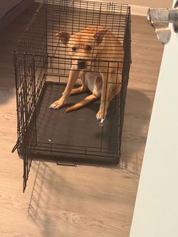 Two Cages