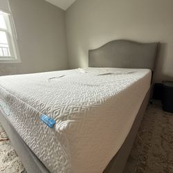 Queen Bed frame + Headboard 