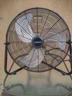Fan