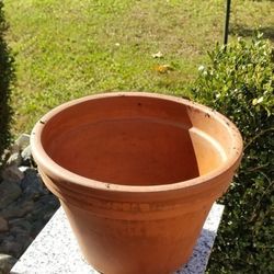 Clay Pot