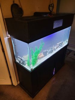 Fish tank