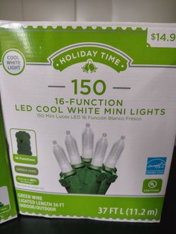 Indoor outdoor Christmas lights $60