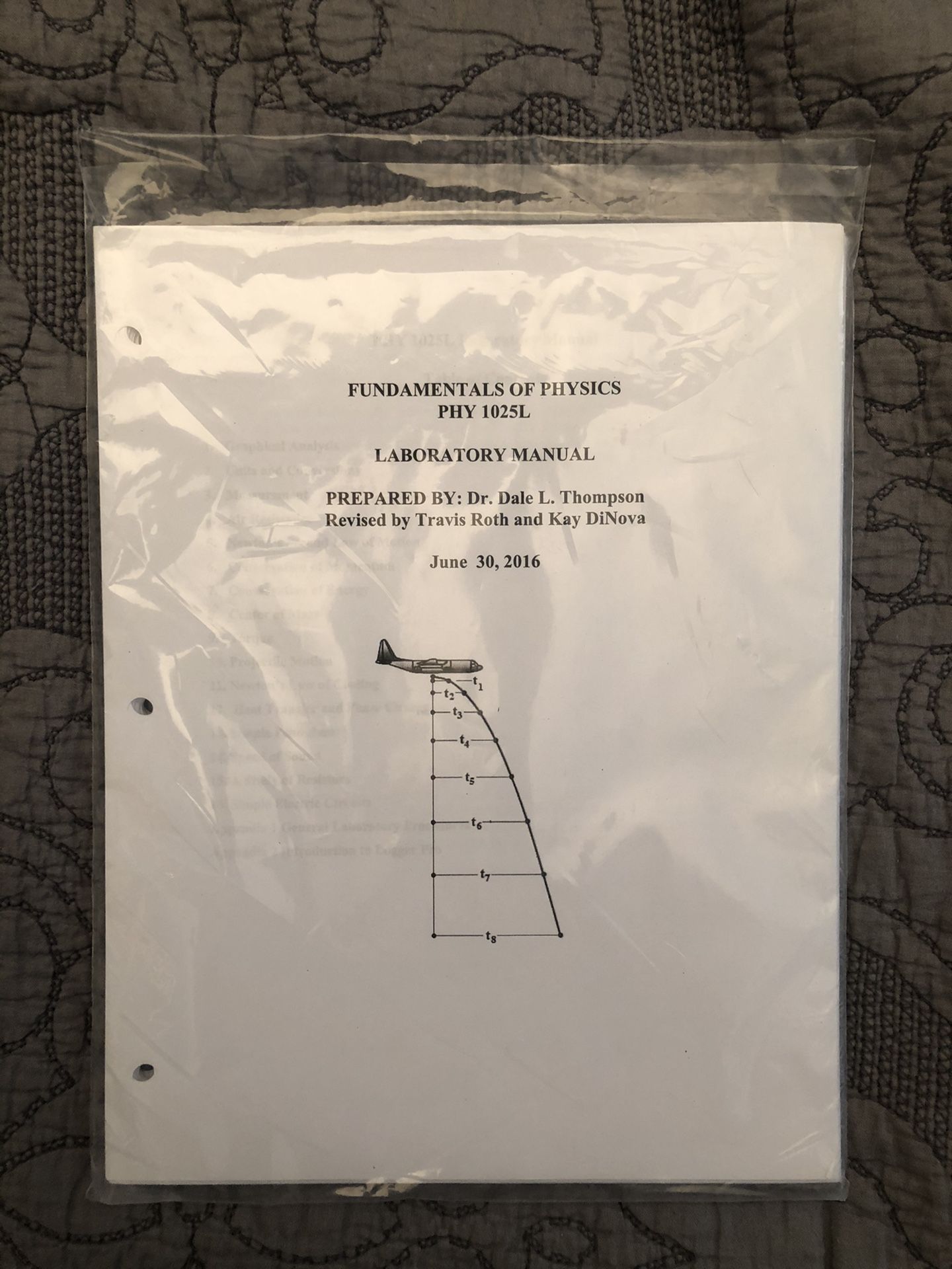 Fundamentals of Physics Lab Manual