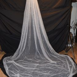 Beautiful Wedding Veil-New