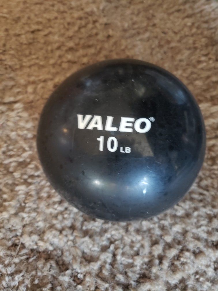 VALEO Exercise Ball Playing Catch Is A Real Workout 