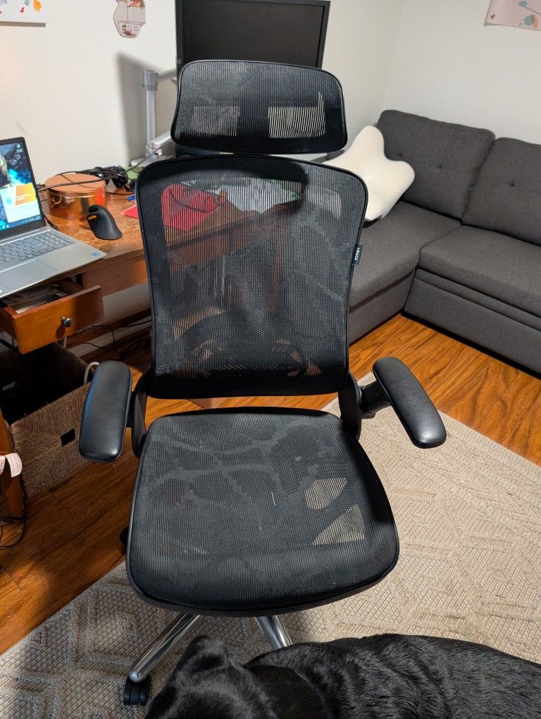 Office Chair 