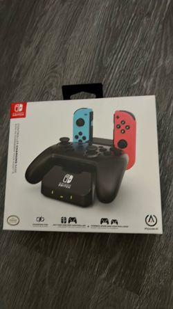 Nintendo switch charger