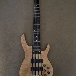 6 String Bass Guitar 