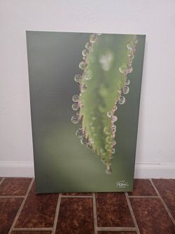 Art art print wallart