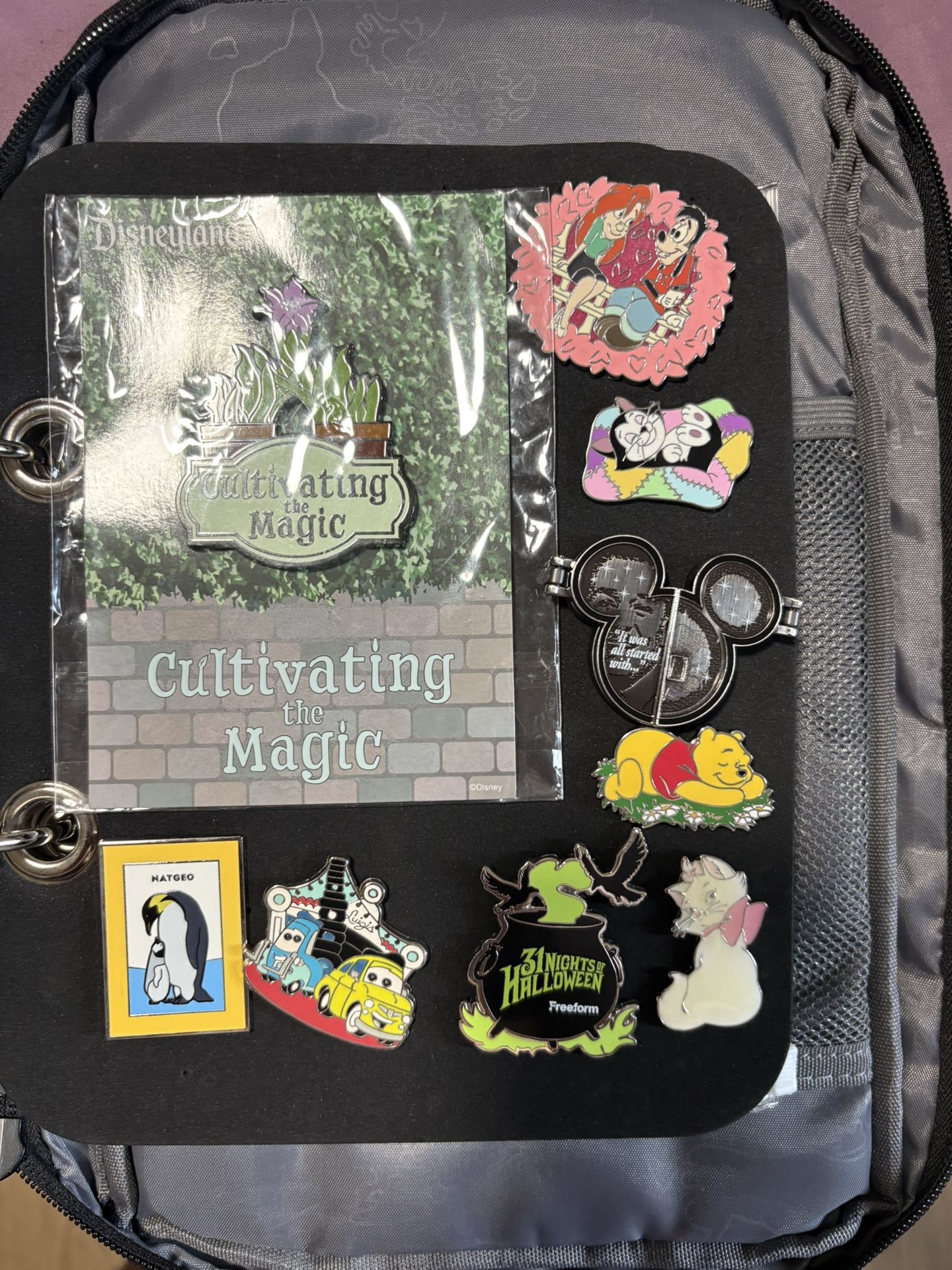 Disney Pin Lot Bundle $90 OBO