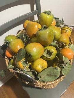 Fresh Hachiya Organic Persimmons For Sale