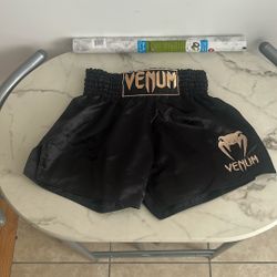 Venum Muay Thai Shorts