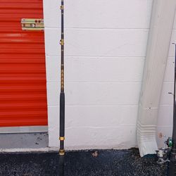 Chaos Custom Saltwater Rod