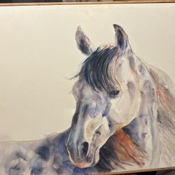 Watercolor Horse Painting By Mann